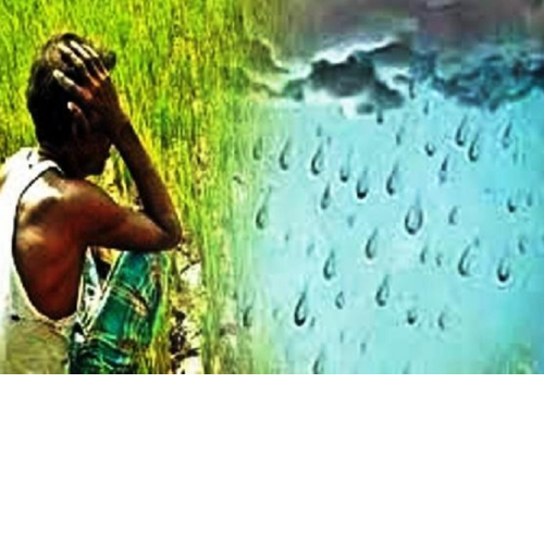 Untitled design 2022 07 14T010955.198