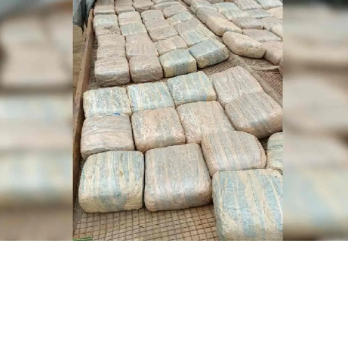 Untitled design 2022 07 15T174936.520