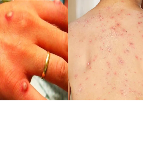 Untitled design 2022 07 17T000235.591