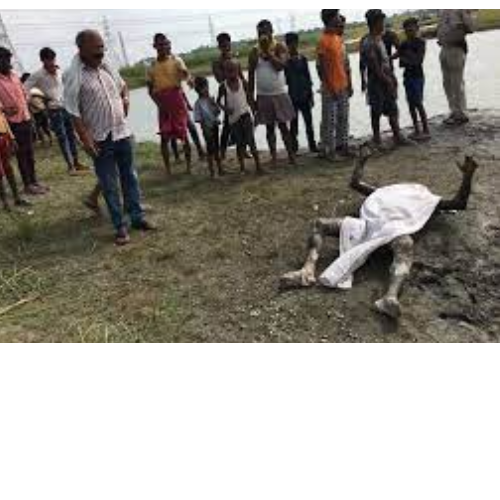 Untitled design 2022 07 17T142806.096