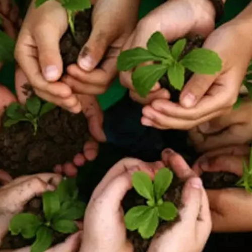 Untitled design 2022 07 18T001837.648