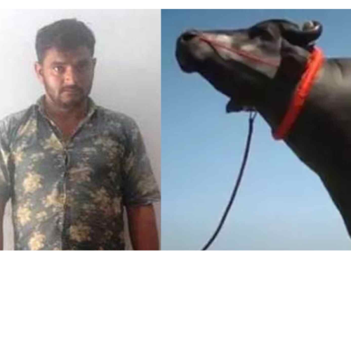 Untitled design 2022 07 21T021432.578