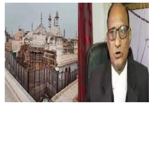 Untitled design 2022 08 01T185140.804