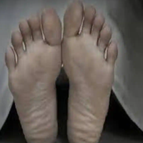 उत्तर प्रदेश : करंट लगने से पूर्व ग्राम प्रधान और उसके पिता की मौत 1 Untitled design 2022 08 04T191059.155