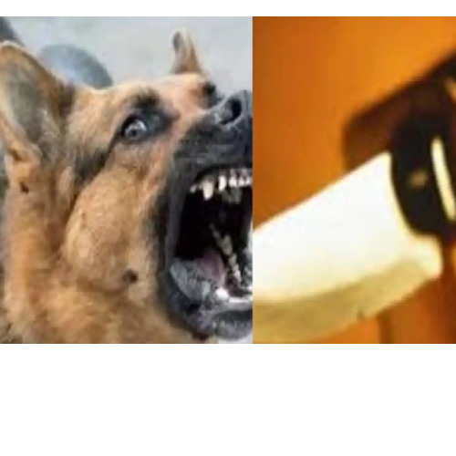 Untitled design 2022 08 05T202915.429