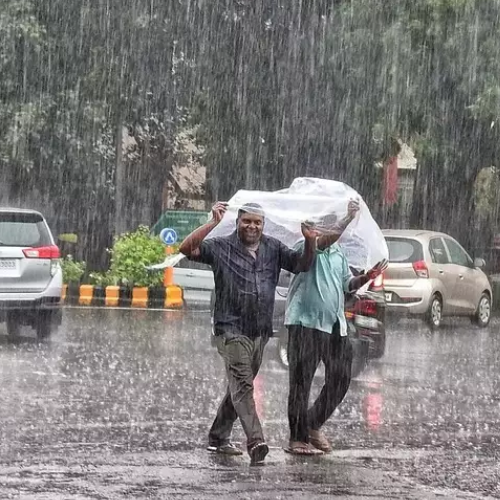 Untitled design 2022 08 06T191344.737