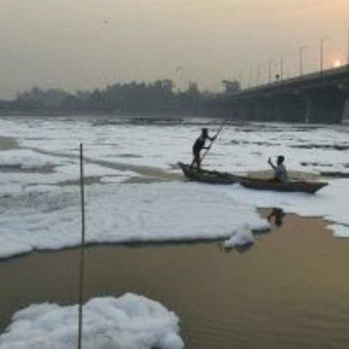 यमुना प्रदूषण: एनजीटी ने नोएडा प्राधिकरण पर 100 करोड़, डीजेबी पर 50 करोड़ रुपये का जुर्माना लगाया 1 Untitled design 2022 08 06T225602.569