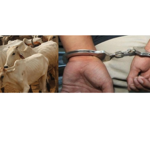 Untitled design 2022 08 08T183824.502