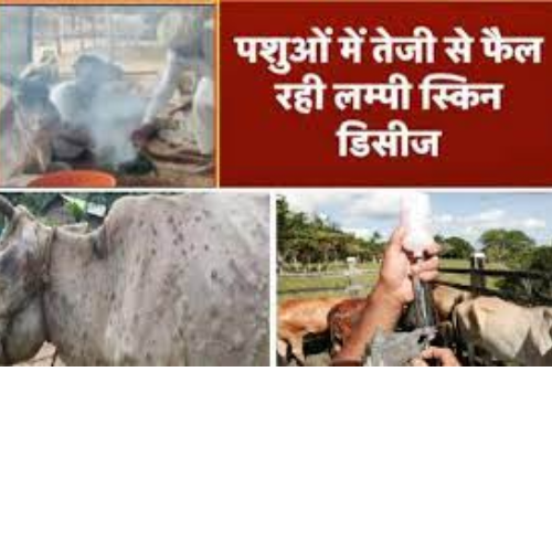 Untitled design 2022 08 13T195431.307