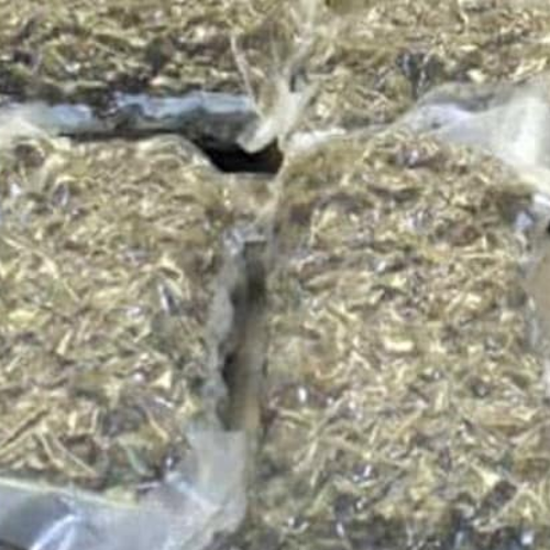 सत्तावन किलो गांजे के साथ एक गिरफ्तार 1 Untitled design 2022 08 18T002840.294