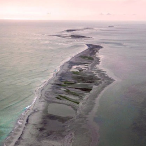 Untitled design 2022 08 23T003209.423