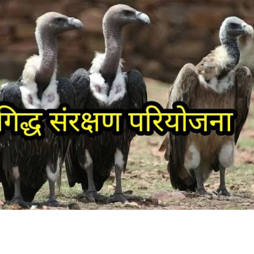 Untitled design 2022 09 04T173241.412