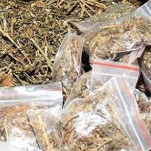 असम में भारी मात्रा में मादक पदार्थ बरामद 1 Untitled design 2022 09 10T222727.330