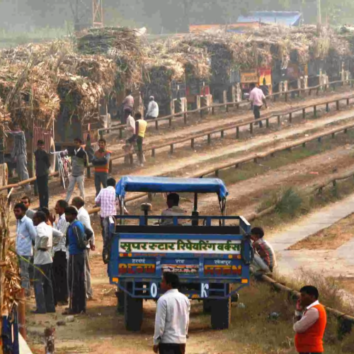 Untitled design 2022 09 16T170831.776