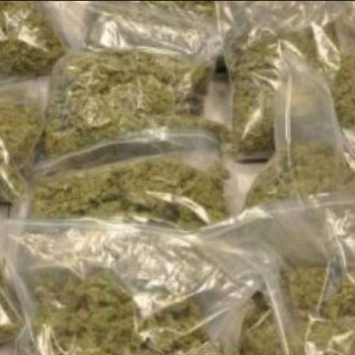 नोएडा में ढाई किलो गांजा बरामद, दो गिरफ्तार 1 Untitled design 2022 09 21T205651.906