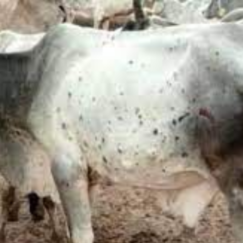 Untitled design 2022 09 29T223601.420