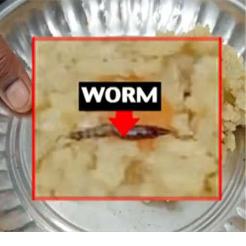 जामिया कैंटीन के खाने में कीड़ा का आरोप 1 Untitled design 2022 09 29T224015.419