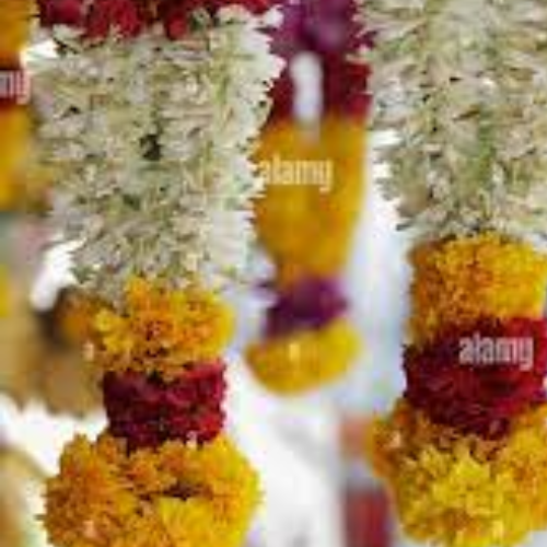 Untitled design 2022 10 01T003320.413