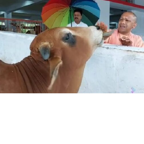 Untitled design 2022 10 07T005856.846