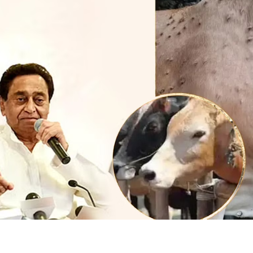 Untitled design 2022 10 08T002438.192