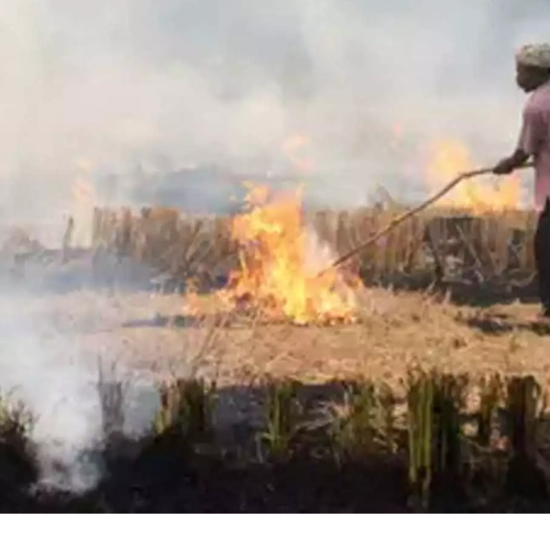 पराली जलाने से दिल्ली-एनसीआर में वायू प्रदूषण के खतरों पर पर्यावरण मंत्री यादव ने की समीक्षा बैठक 1 Untitled design 2022 10 12T005356.906