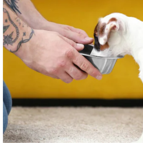 Untitled design 2022 10 22T004907.943