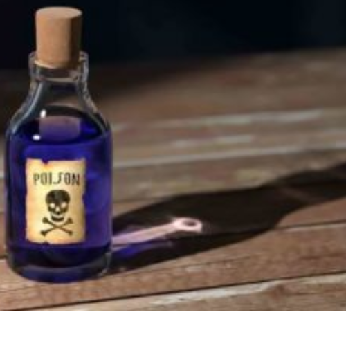 Untitled design 2022 10 29T185550.150