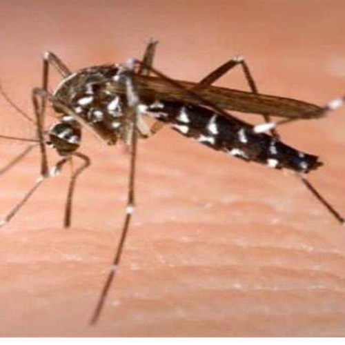 Untitled design 2022 10 30T191548.878