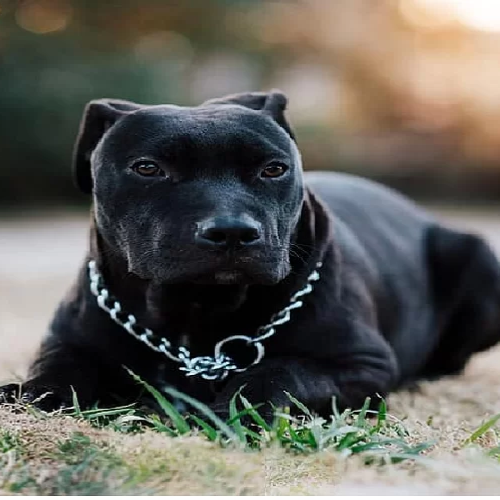 Untitled design 32 1