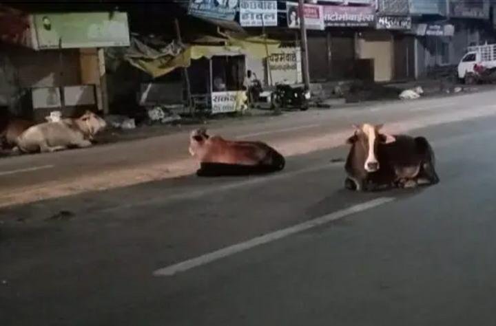 c318fe5c 8621 4d2a 80d0 a88cab1645e1