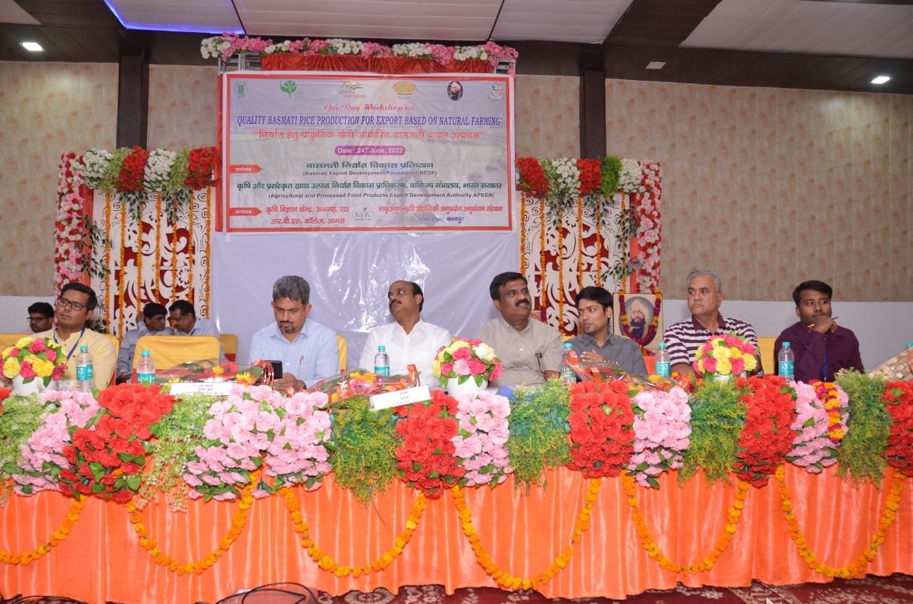 c811c580 0542 4d44 aeca e1f9ddcbce58